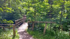 Rieselfelder