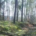 Ostern Schorfheide